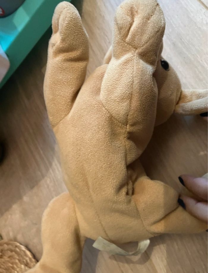 Clinique vétérinaire - photo numéro 3