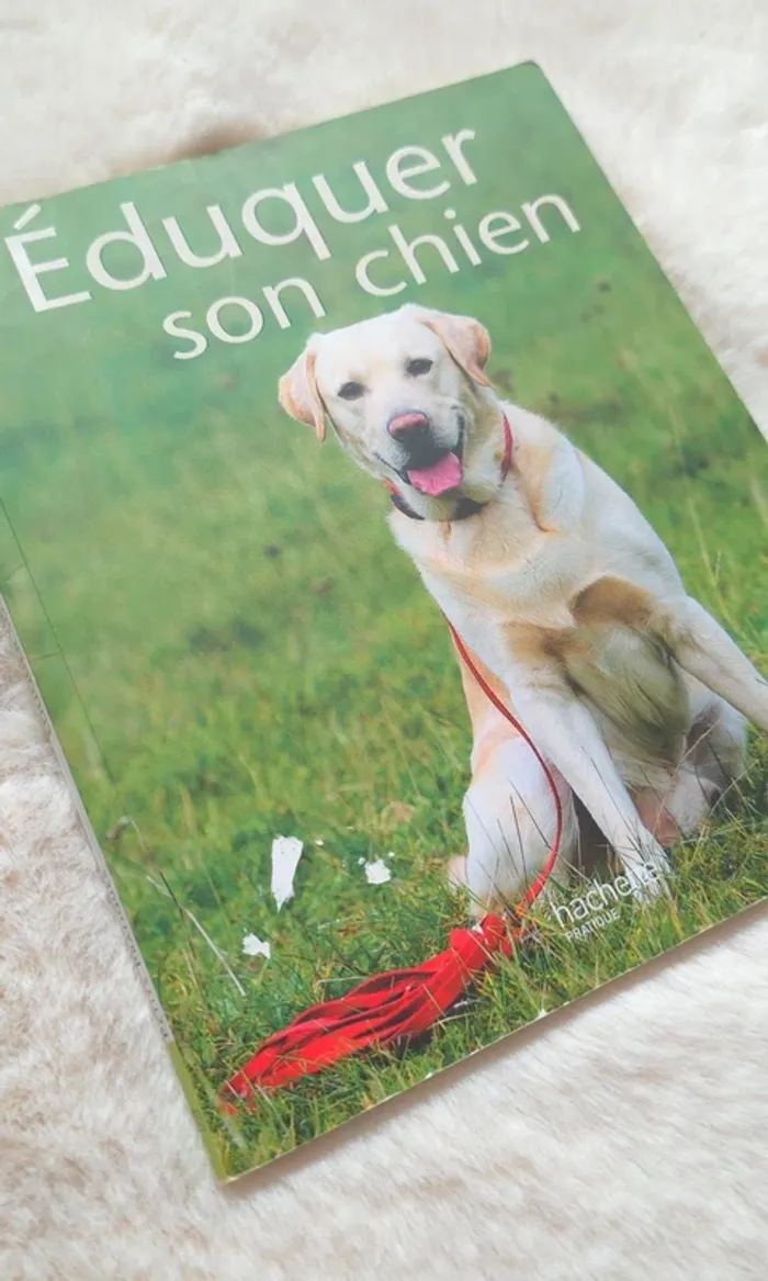Éduquer son chien - photo numéro 2