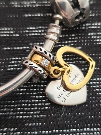 Charm pandora shine modèle graine de l'avenir