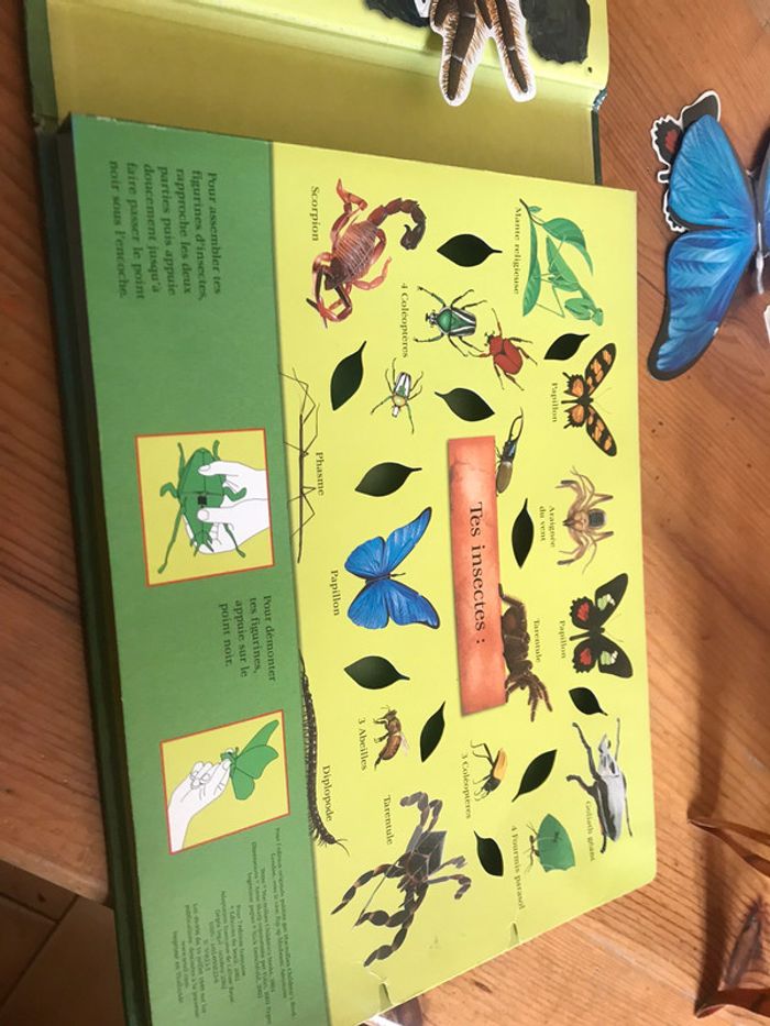 Livre « les insectes » en 3 D - photo numéro 3