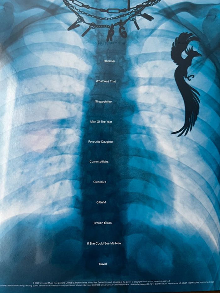 Lorde Virgin Gatefold LP Vinyl + Signed Card - photo numéro 6