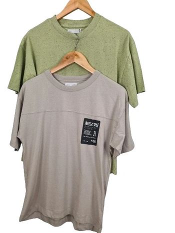 2 tee-shirts zara
