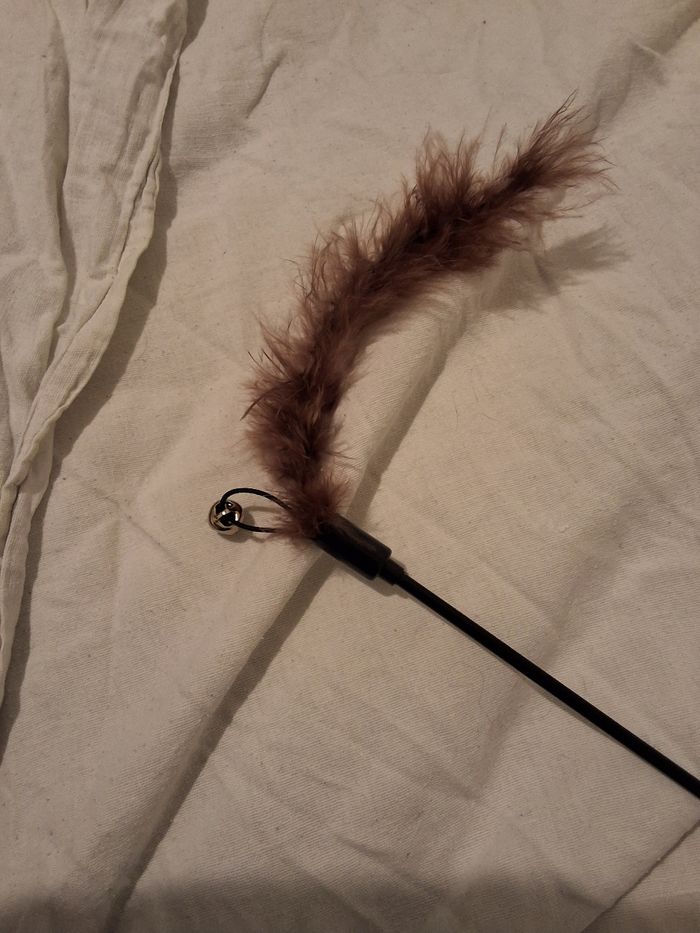 Hochet pour chat - photo numéro 2