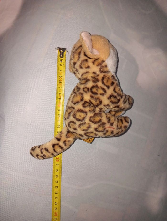 Leopard - photo numéro 4