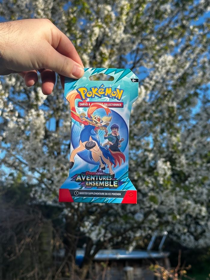 Blister Pokémon EV9 - Aventures Ensemble Neufs - photo numéro 5