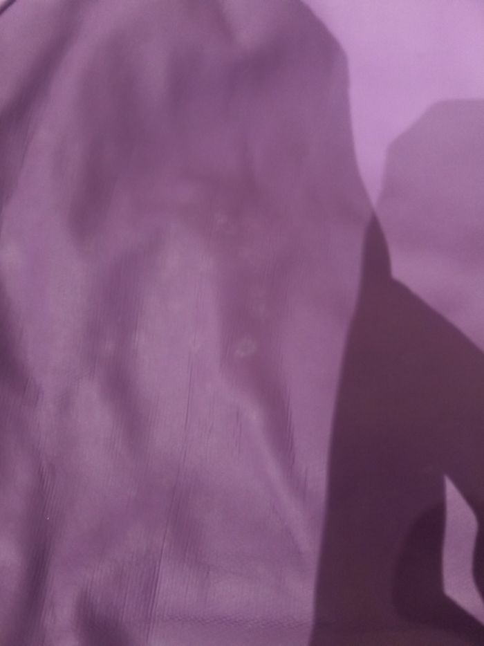 Blouson chaud motif cheval 4 ans -Lupilu - photo numéro 5