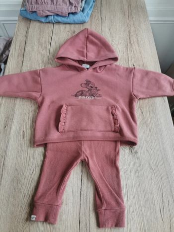 Ensemble Bambi