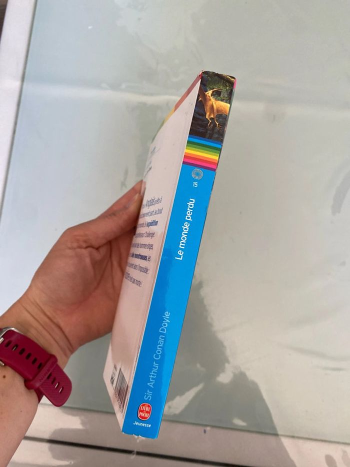 Livre fantastique le monde perdu - photo numéro 3