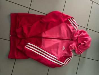 Veste
