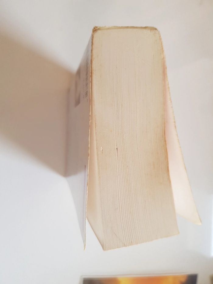 Les âmes vagabondes stephenie meyer - photo numéro 7