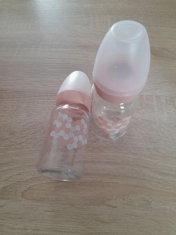 Lot de 2 biberons Pomette en verre