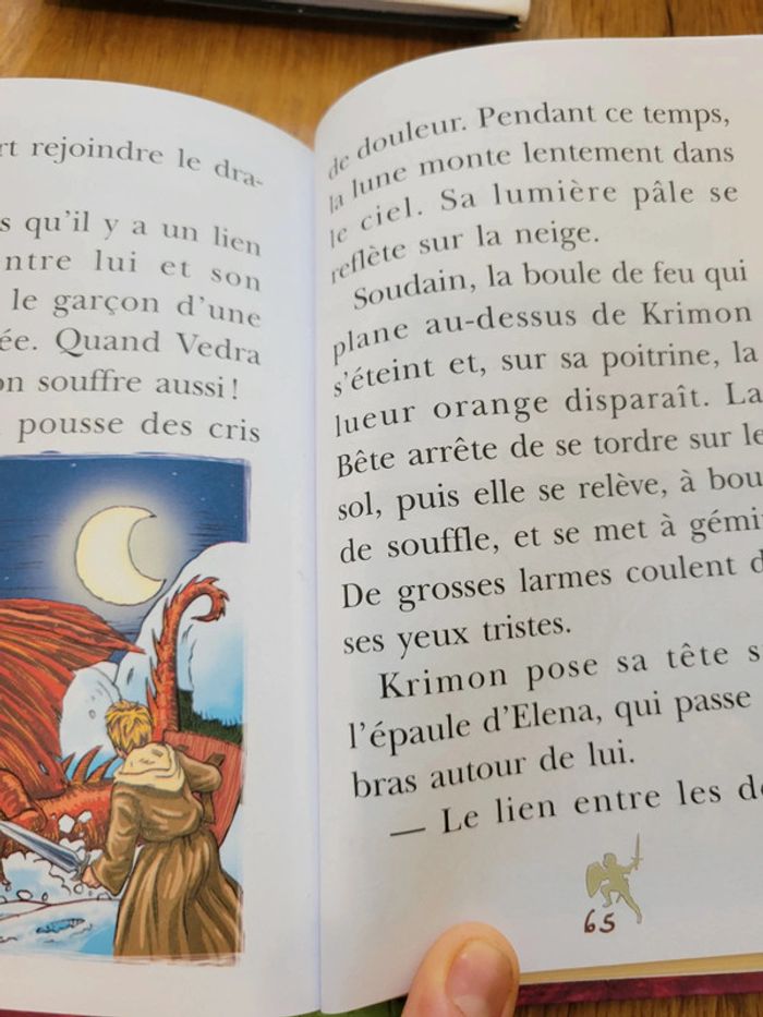 Lot de 2 bibliothèque verte 6/8 ans - photo numéro 4
