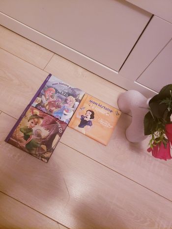 Lot de 3 livres 🎀 Hachette 8€