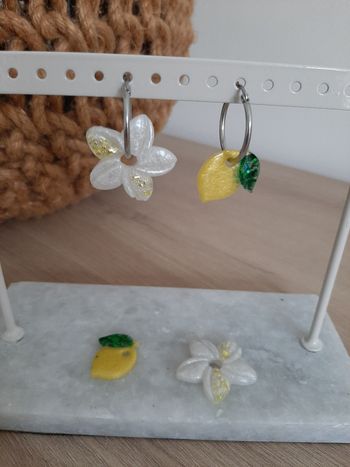 Creoles pampilles interchangeables 