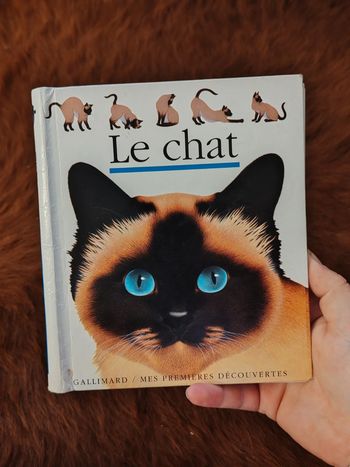 Livre le chat mes premières découvertes