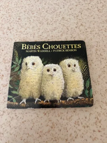 Bébés chouettes