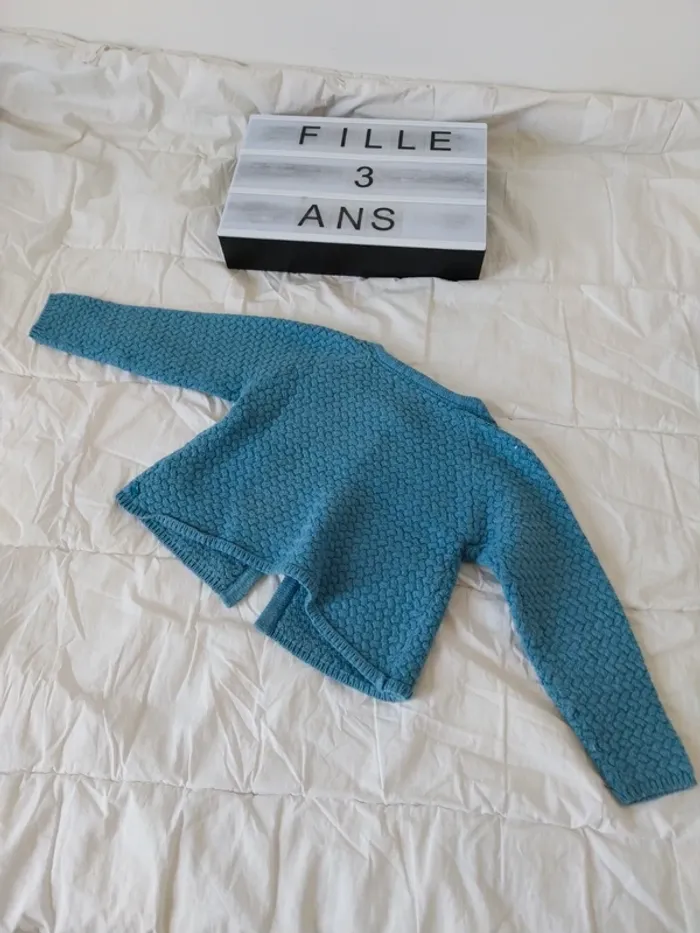 Gilet fille 3 ans - photo numéro 2