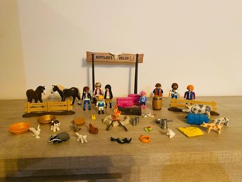 lot de playmobil ranch et animaux