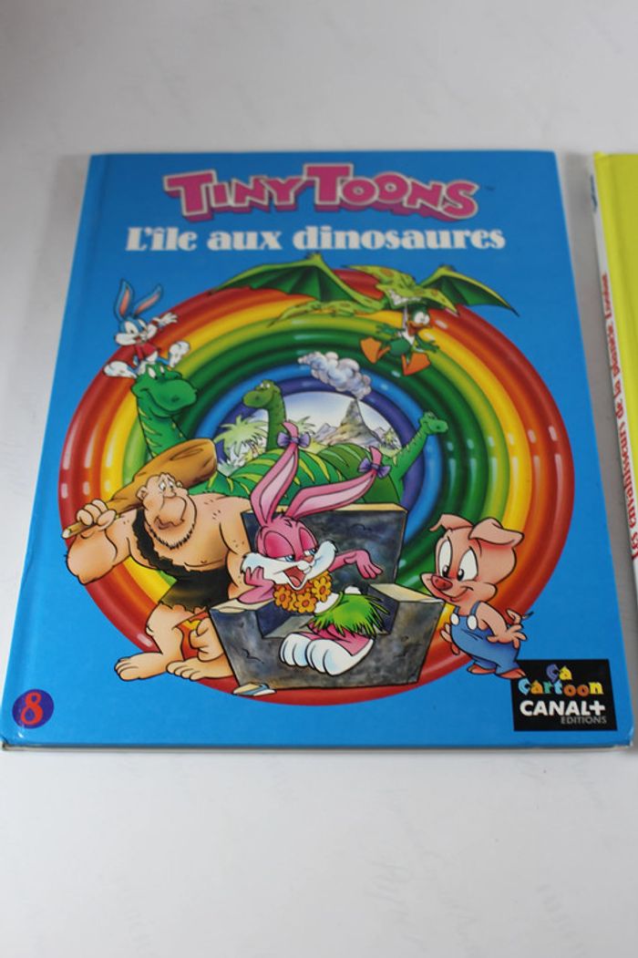 Ca Cartoon Canal + Tiny Toons L'ile aux dinosaures et Les Envahisseurs de la planete Zootar - photo numéro 2