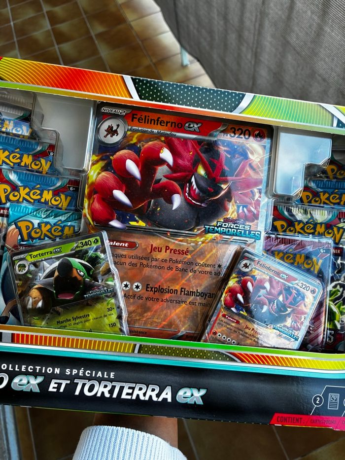 Coffret Félinferno Ex et Torterra Ex