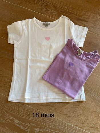 Lot de 2 T-shirts fille 18 mois