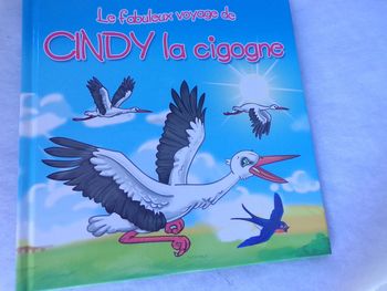 Livre Le fabuleux voyage de Cindy la cicogne