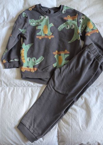 Ensemble crocodile 