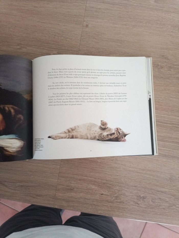 Star de chat et chats de stars - photo numéro 7