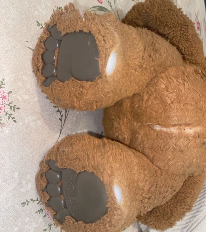 Cubby l’ours curieux - photo numéro 3