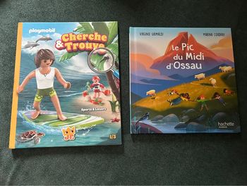 2 livres enfant cherche et trouve playmobil et le pic du midi