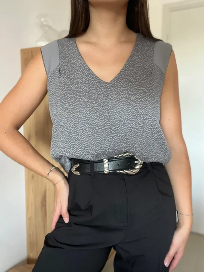 Blouse manches courtes grise Scarlet Roos