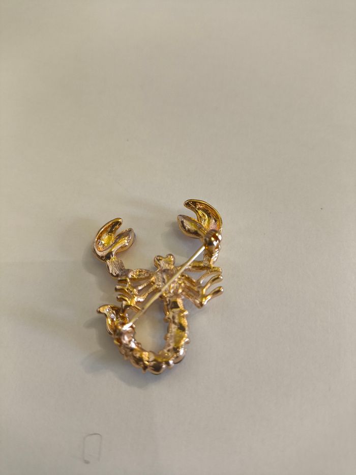 Broches scorpion - photo numéro 3