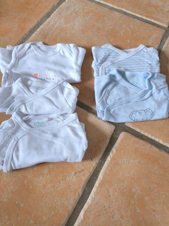 Lot body tex