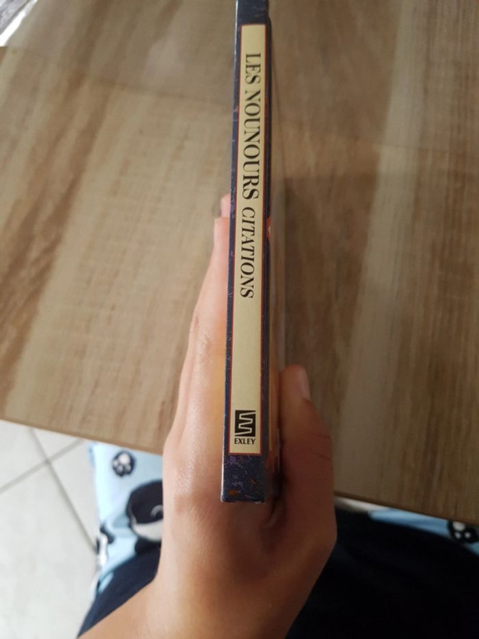 Livre les Nounours - photo numéro 5