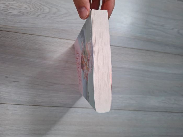 Livre de Carène Ponte, recherche Lily désespérément - photo numéro 5