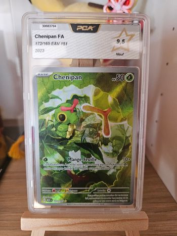 Chenipan 172/165 PCA 9.5