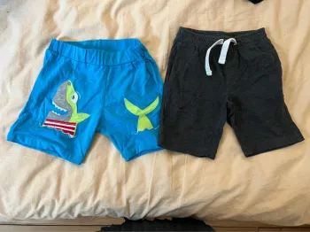 Lot 2 shorts