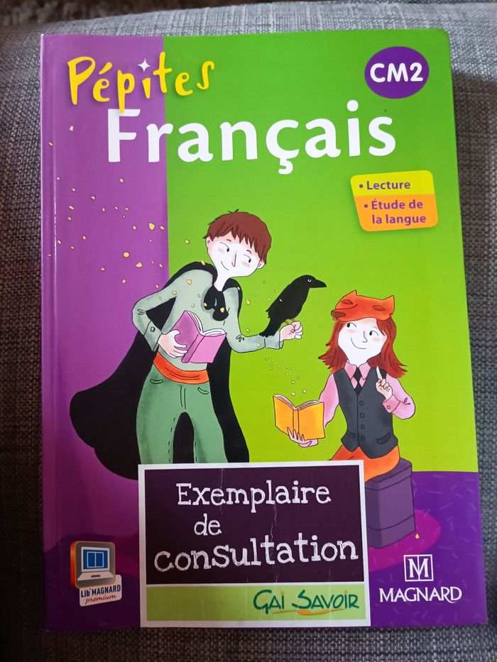 Pépites français cm2