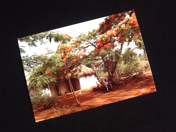 3 Cartes postales Ile Maurice Montagne du Rempart /Le coin de Mire /Une cabane de la Campagne - photo numéro 2