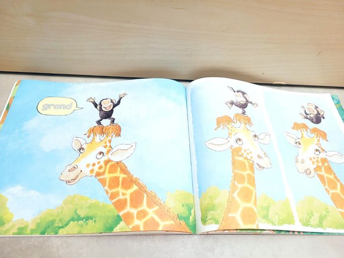 🌺 Livre (école des loisirs) : Grand - photo numéro 4