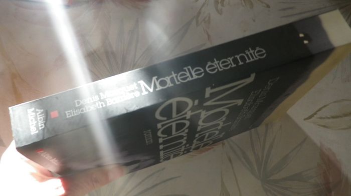 Mortelle éternité de Denis Marquet et Elisabeth Barrière Ed. Albin Michel - photo numéro 3