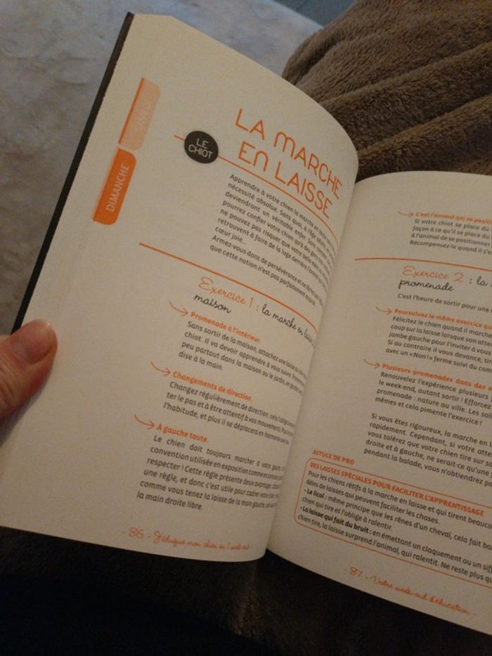 J' éduqué l'on chien en un week end - photo numéro 3