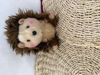  Aurora - - Peluche - Hérisson Joyeux