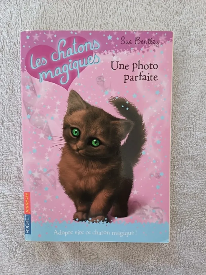 Livre Les Chatons magiques - une photo parfaite (familleac72)