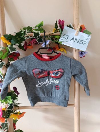 Pull Miraculous 3ans