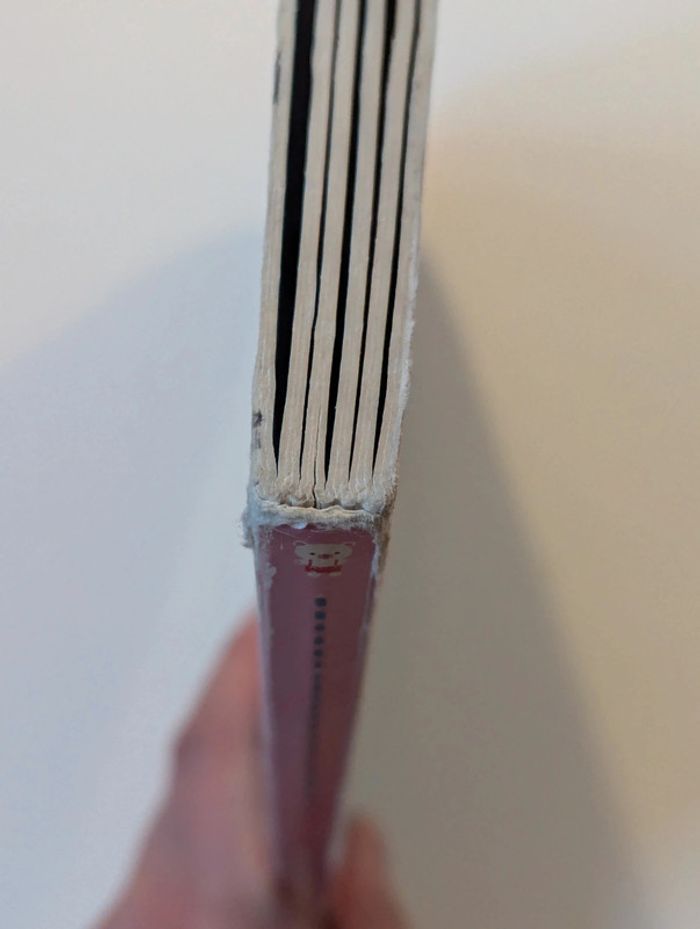 Mon tout premier livre "cache-cache" - photo numéro 7