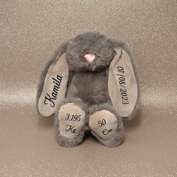 Peluche personnalisée 