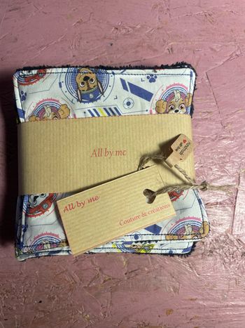 10 Lingettes pat patrouille