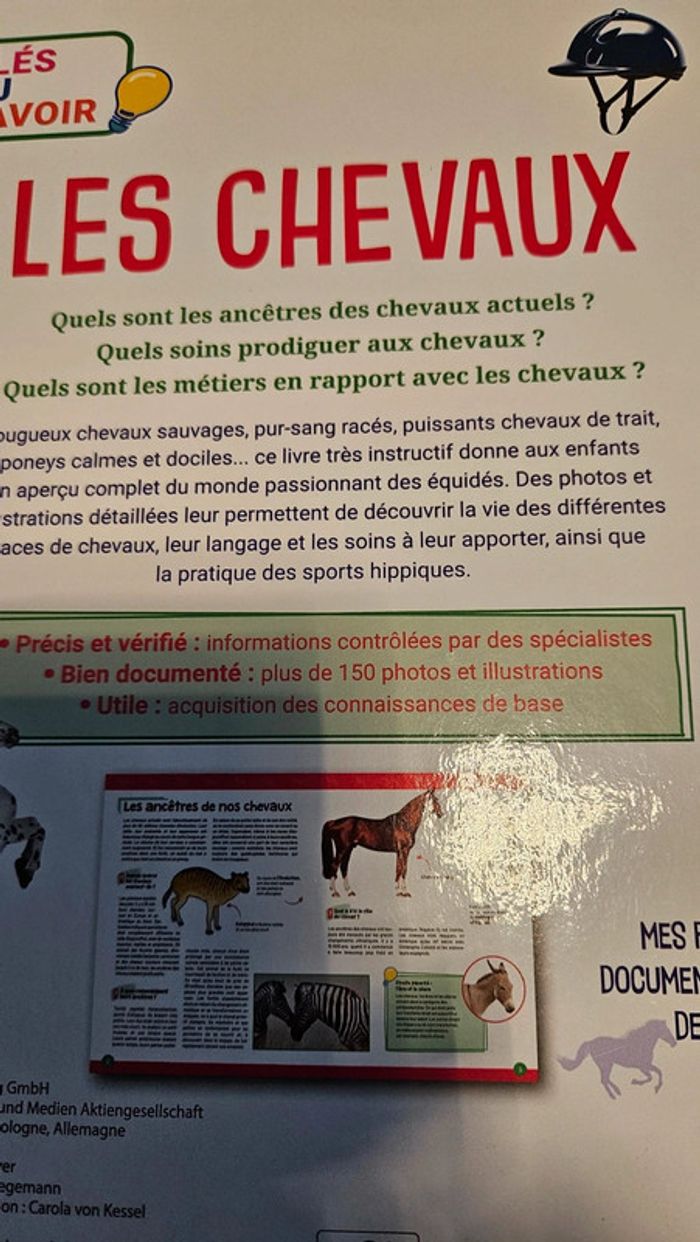 Livre illustré Les équidés, de A à Z, Clés du savoir, neuf - photo numéro 5