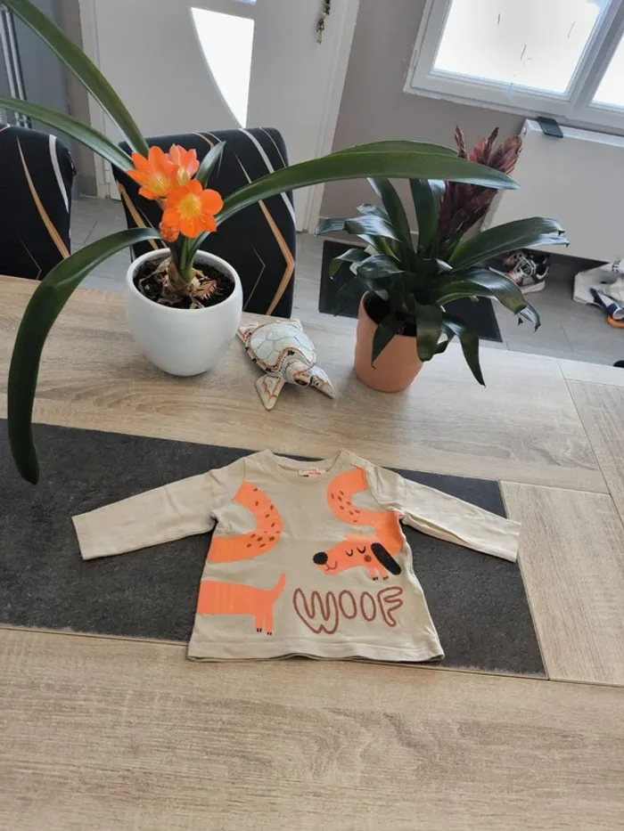 Tee-shirt garçon ml 6 mois Dpam